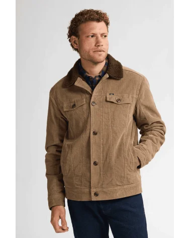 Chaqueta Pana Camel Petrol Industries Esenziashopping Zaragoza